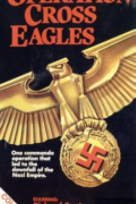 十字鷹行動 Operation Cross Eagles